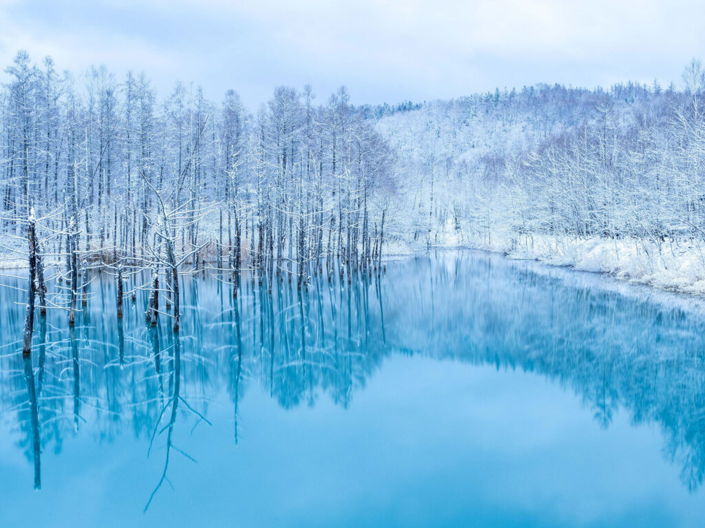 Tourism: Seamless Access to Major North-South Spots. The Shortest Route for Long-Stay Sightseeing.