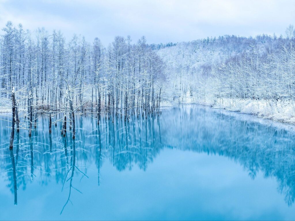 観光：南北の主要スポットへ自由自在。連泊・リピートを生む「周遊観光の最短ルート」